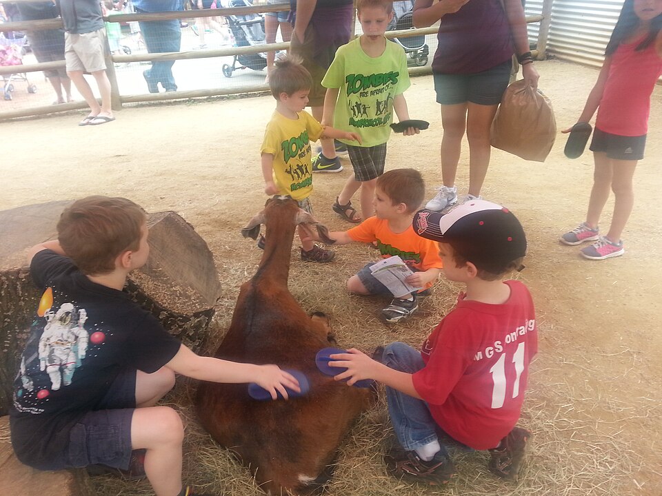 Dierentuin Animal Farm