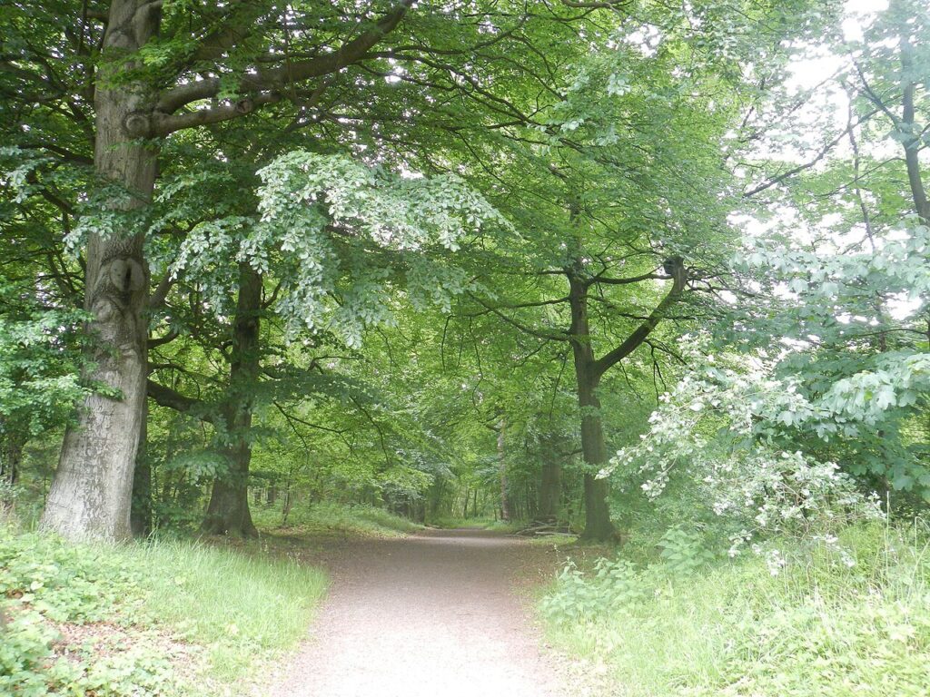 Beverwijkse Bokkentocht in Beverwijk
